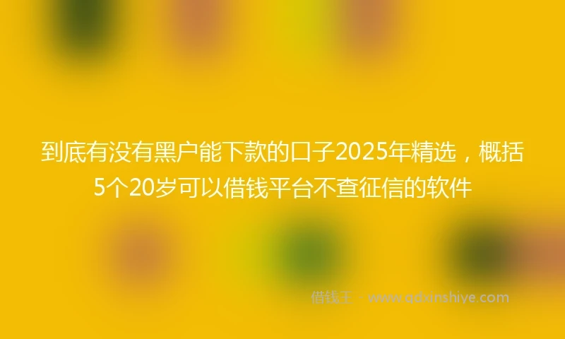 到底有没有黑户能下款的口子2025年精选,概括5个20岁可以借钱平台不查征信的软件