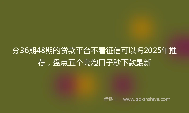 分36期48期的贷款平台不看征信可以吗2025年推荐，盘点五个高炮口子秒下款最新