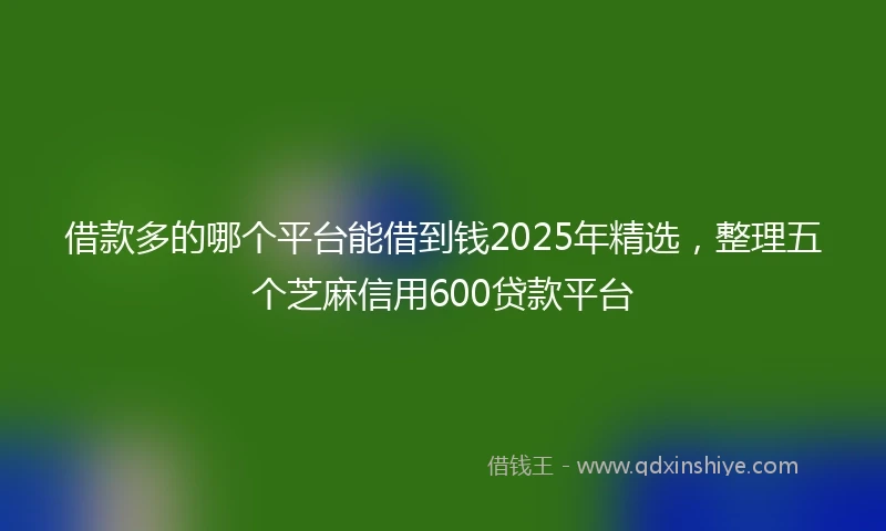 借款多的哪个平台能借到钱2025年精选，整理五个芝麻信用600贷款平台