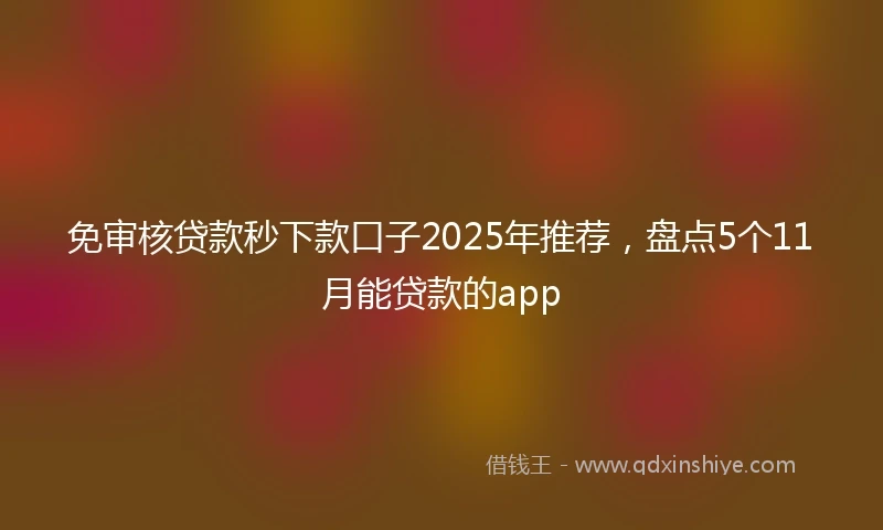 免审核贷款秒下款口子2025年推荐，盘点5个11月能贷款的app