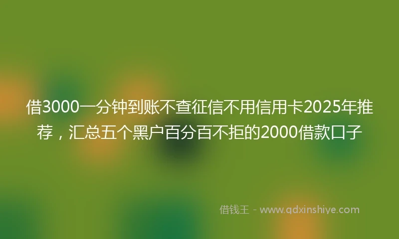 借3000一分钟到账不查征信不用信用卡2025年推荐，汇总五个黑户百分百不拒的2000借款口子