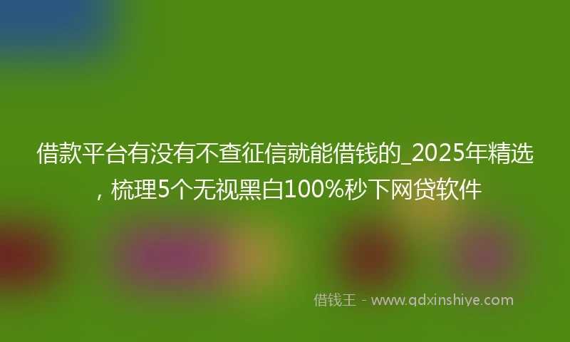 借款平台有没有不查征信就能借钱的_2025年精选，梳理5个无视黑白100%秒下网贷软件