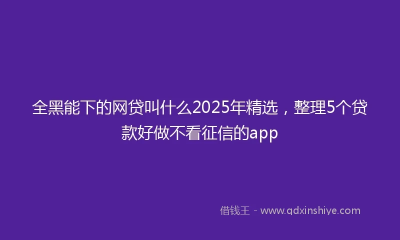 全黑能下的网贷叫什么2025年精选，整理5个贷款好做不看征信的app