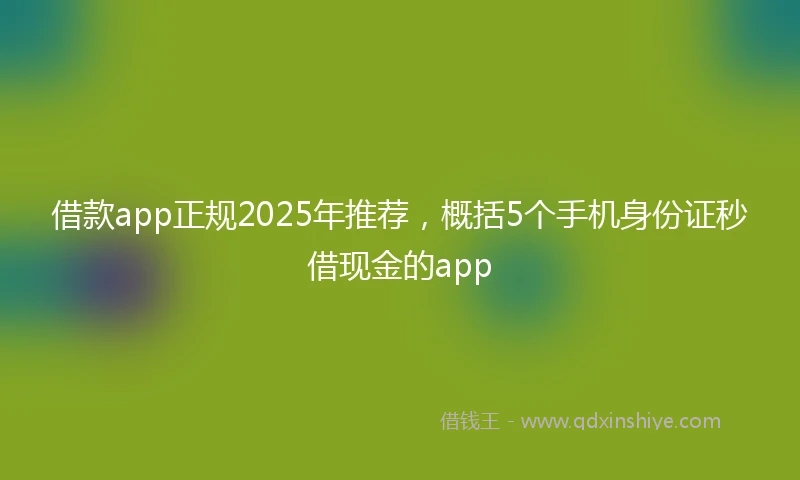 借款app正规2025年推荐,概括5个手机身份证秒借现金的app
