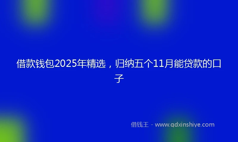 借款钱包2025年精选，归纳五个11月能贷款的口子