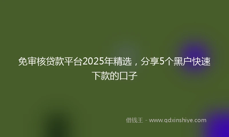 免审核贷款平台2025年精选，分享5个黑户快速下款的口子