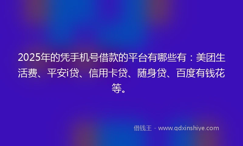 2025年的凭手机号借款的平台有哪些有：美团生活费、平安i贷、信用卡贷、随身贷、百度有钱花等。