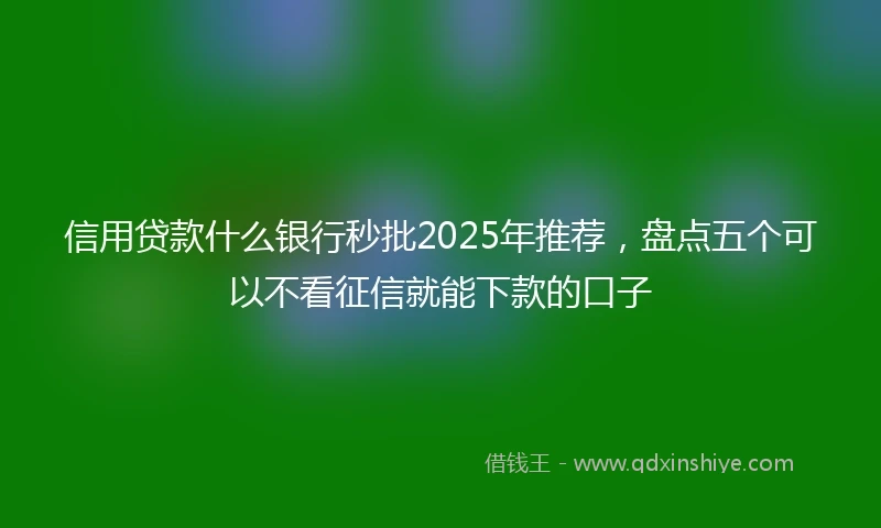 信用贷款什么银行秒批2025年推荐，盘点五个可以不看征信就能下款的口子