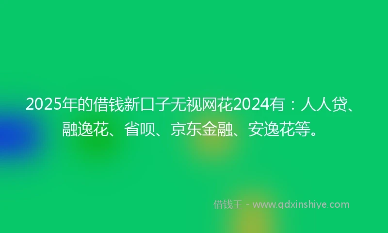 2025年的借钱新口子无视网花2024有：人人贷、融逸花、省呗、京东金融、安逸花等。