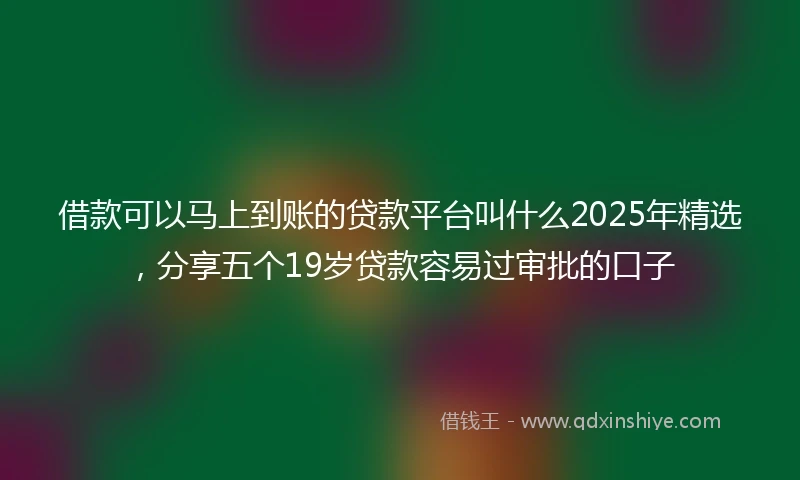 借款可以马上到账的贷款平台叫什么2025年精选，分享五个19岁贷款容易过审批的口子
