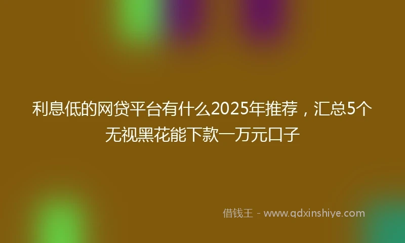 利息低的网贷平台有什么2025年推荐，汇总5个无视黑花能下款一万元口子