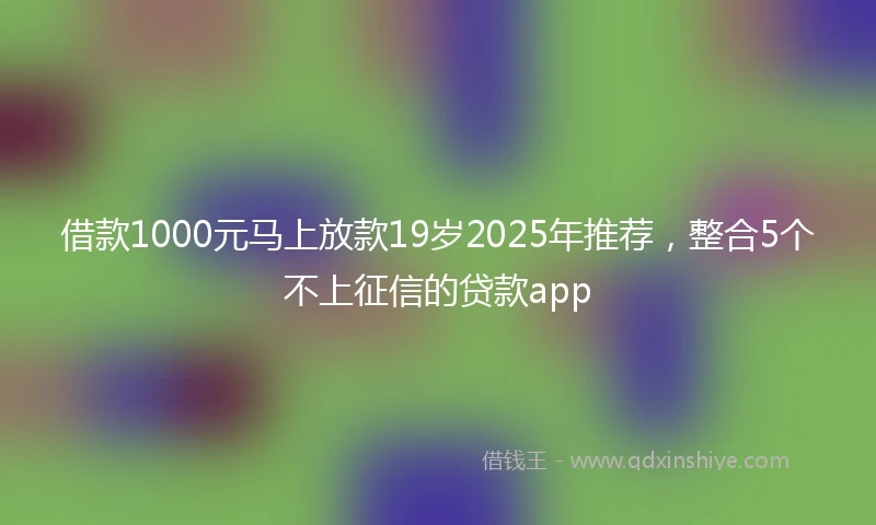借款1000元马上放款19岁2025年推荐，整合5个不上征信的贷款app
