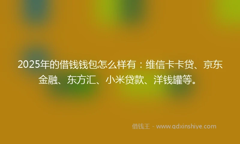 2025年的借钱钱包怎么样有：维信卡卡贷、京东金融、东方汇、小米贷款、洋钱罐等。