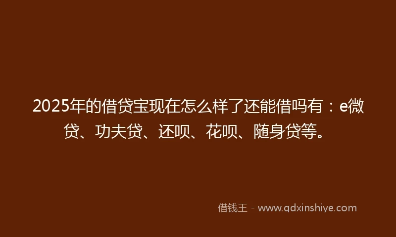 2025年的借贷宝现在怎么样了还能借吗有：e微贷、功夫贷、还呗、花呗、随身贷等。