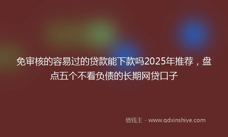 免审核的容易过的贷款能下款吗2025年推荐，盘点五个不看负债的长期网贷口子