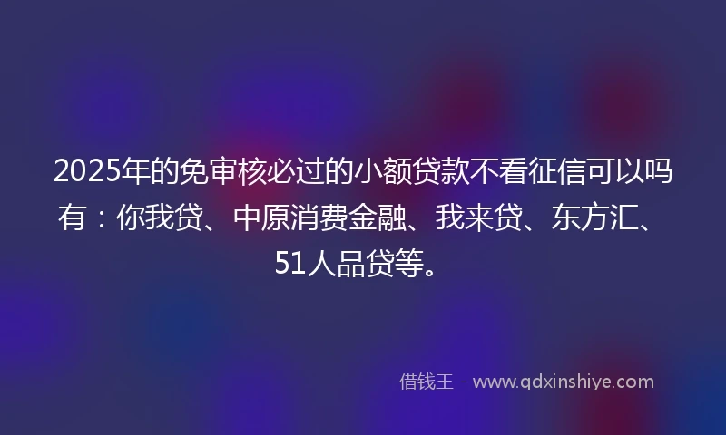 2025年的免审核必过的小额贷款不看征信可以吗有：你我贷、中原消费金融、我来贷、东方汇、51人品贷等。