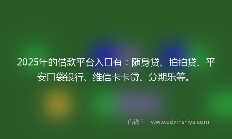 2025年的借款平台入口有：随身贷、拍拍贷、平安口袋银行、维信卡卡贷、分期乐等。