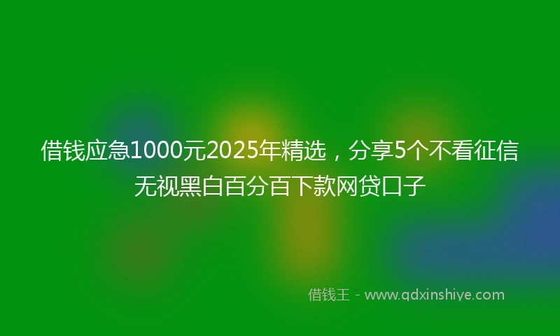 借钱应急1000元2025年精选，分享5个不看征信无视黑白百分百下款网贷口子