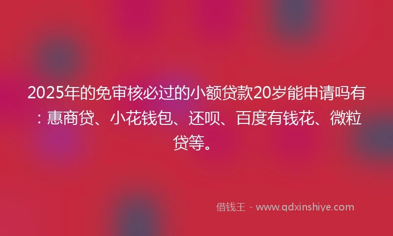 2025年的免审核必过的小额贷款20岁能申请吗有：惠商贷、小花钱包、还呗、百度有钱花、微粒贷等。