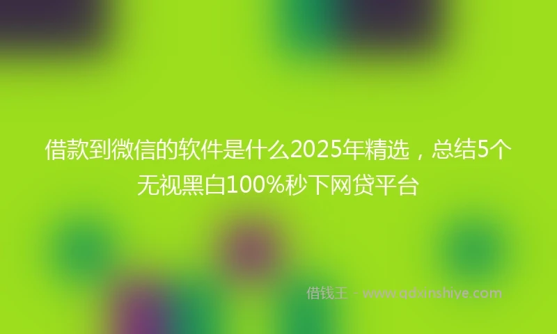借款到微信的软件是什么2025年精选,总结5个无视黑白100%秒下网贷平台