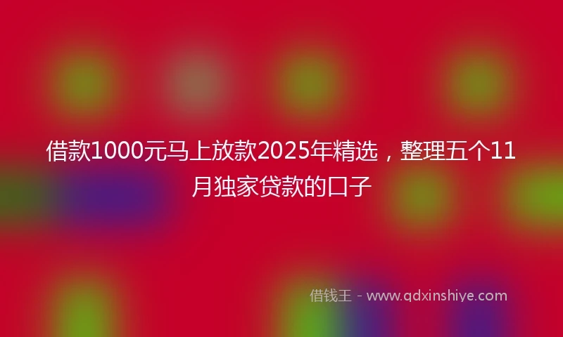 借款1000元马上放款2025年精选，整理五个11月独家贷款的口子