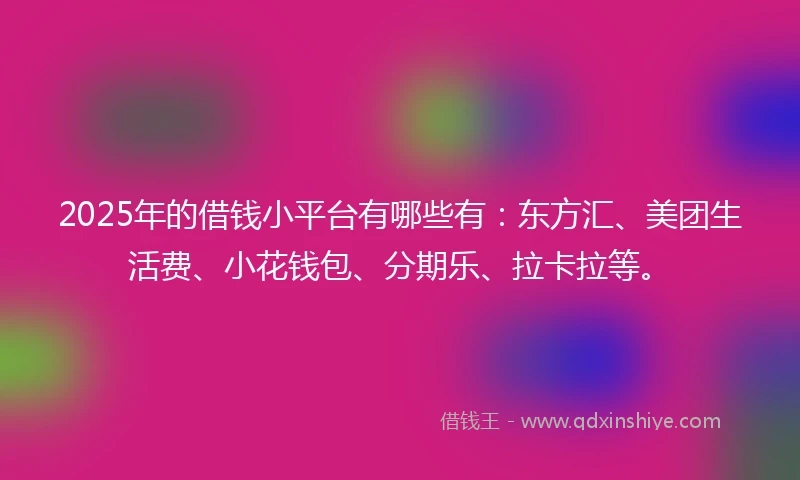 2025年的借钱小平台有哪些有：东方汇、美团生活费、小花钱包、分期乐、拉卡拉等。