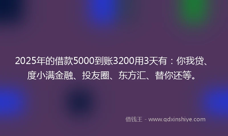 2025年的借款5000到账3200用3天有：你我贷、度小满金融、投友圈、东方汇、替你还等。