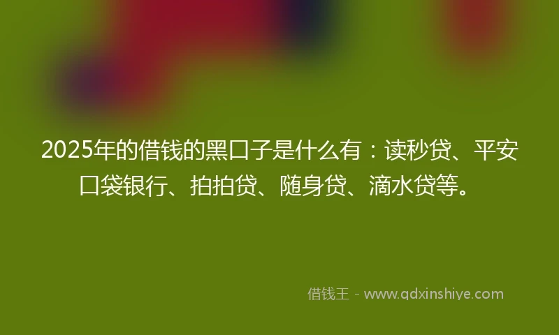 2025年的借钱的黑口子是什么有：读秒贷、平安口袋银行、拍拍贷、随身贷、滴水贷等。