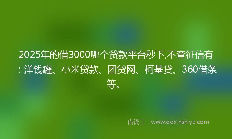 2025年的借3000哪个贷款平台秒下,不查征信有：洋钱罐、小米贷款、团贷网、柯基贷、360借条等。