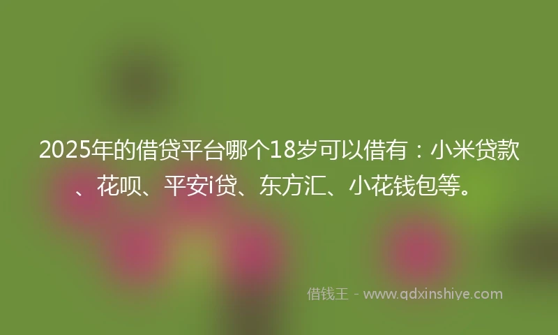 2025年的借贷平台哪个18岁可以借有：小米贷款、花呗、平安i贷、东方汇、小花钱包等。