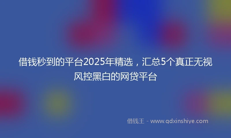 借钱秒到的平台2025年精选，汇总5个真正无视风控黑白的网贷平台