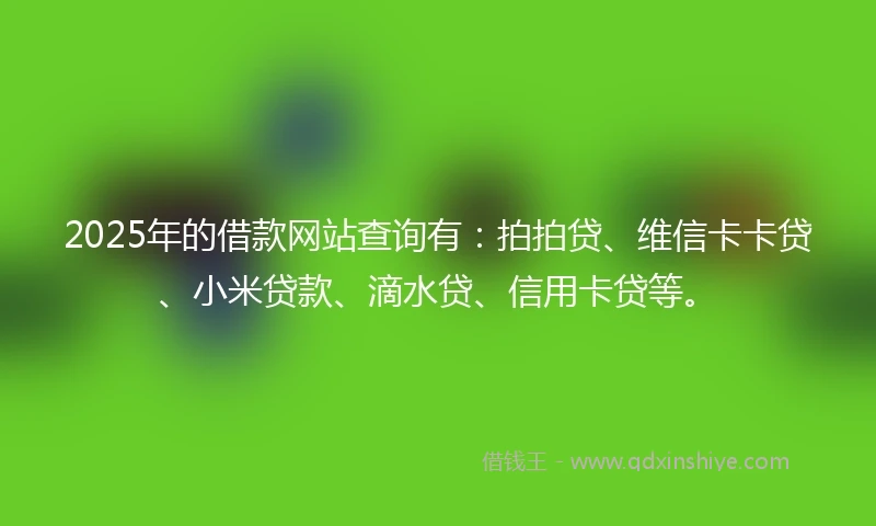 2025年的借款网站查询有：拍拍贷、维信卡卡贷、小米贷款、滴水贷、信用卡贷等。