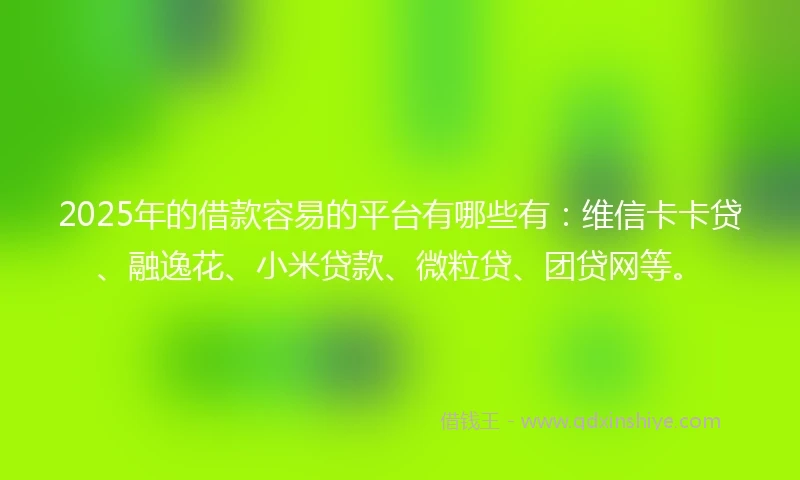 2025年的借款容易的平台有哪些有：维信卡卡贷、融逸花、小米贷款、微粒贷、团贷网等。
