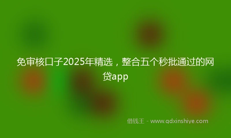 免审核口子2025年精选，整合五个秒批通过的网贷app