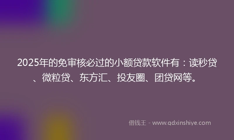 2025年的免审核必过的小额贷款软件有：读秒贷、微粒贷、东方汇、投友圈、团贷网等。
