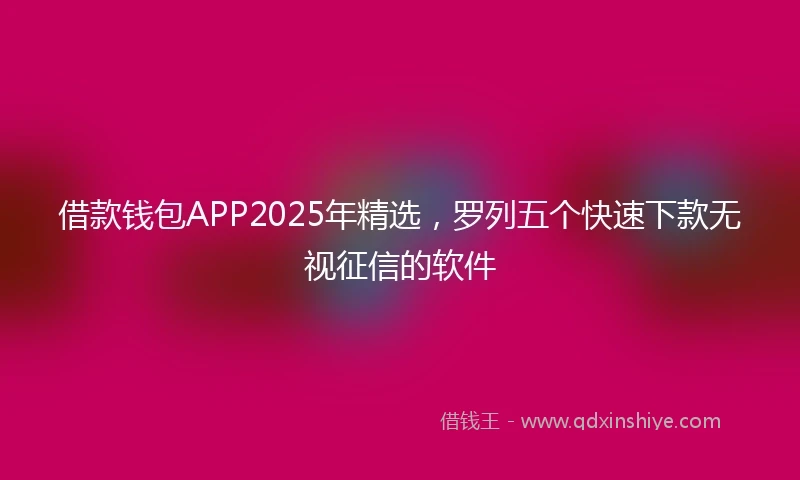 借款钱包APP2025年精选，罗列五个快速下款无视征信的软件
