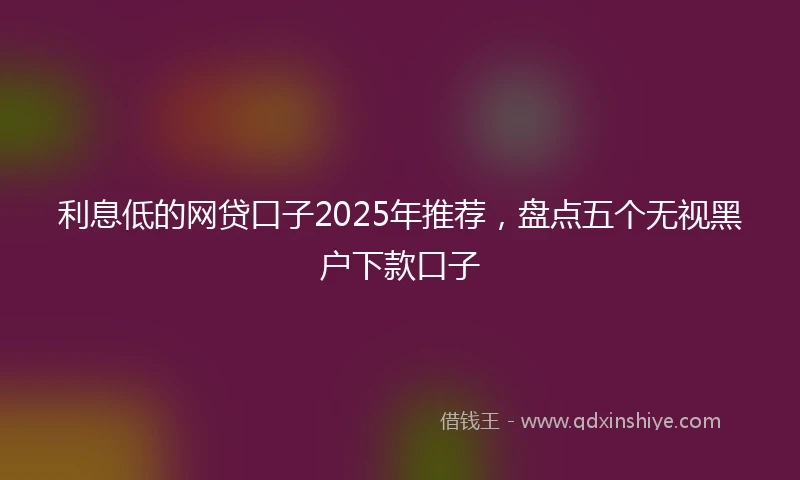 利息低的网贷口子2025年推荐，盘点五个无视黑户下款口子