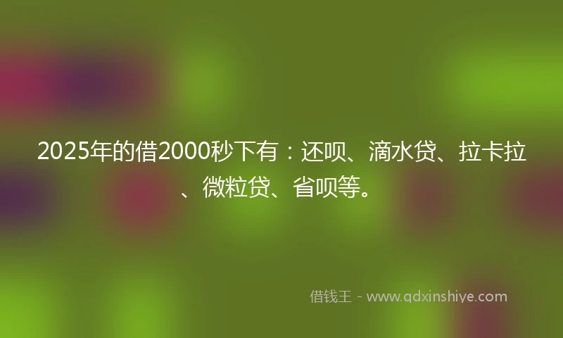 2025年的借2000秒下有：还呗、滴水贷、拉卡拉、微粒贷、省呗等。