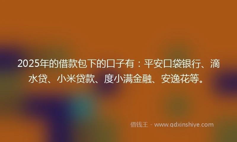 2025年的借款包下的口子有：平安口袋银行、滴水贷、小米贷款、度小满金融、安逸花等。