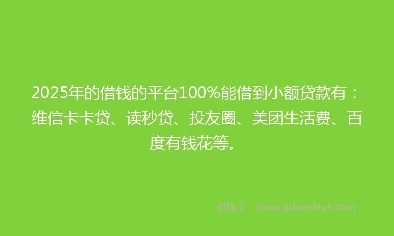 2025年的借钱的平台100%能借到小额贷款有：维信卡卡贷、读秒贷、投友圈、美团生活费、百度有钱花等。