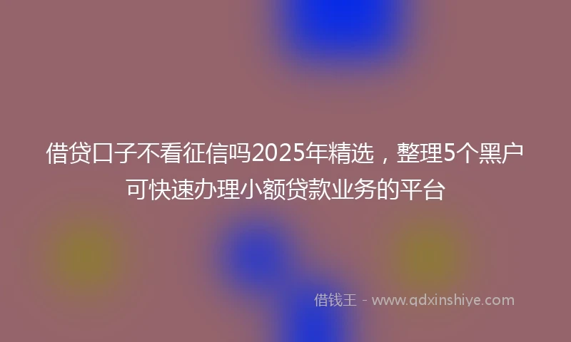 借贷口子不看征信吗2025年精选，整理5个黑户可快速办理小额贷款业务的平台