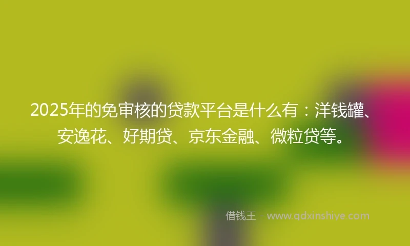 2025年的免审核的贷款平台是什么有：洋钱罐、安逸花、好期贷、京东金融、微粒贷等。