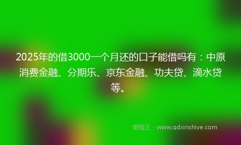2025年的借3000一个月还的口子能借吗有：中原消费金融、分期乐、京东金融、功夫贷、滴水贷等。