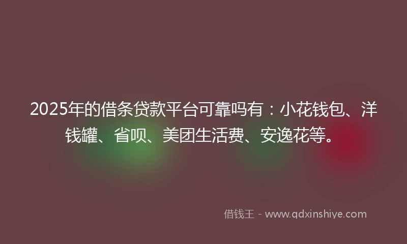 2025年的借条贷款平台可靠吗有：小花钱包、洋钱罐、省呗、美团生活费、安逸花等。