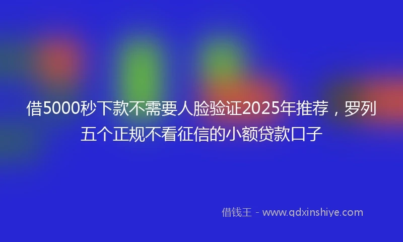借5000秒下款不需要人脸验证2025年推荐，罗列五个正规不看征信的小额贷款口子