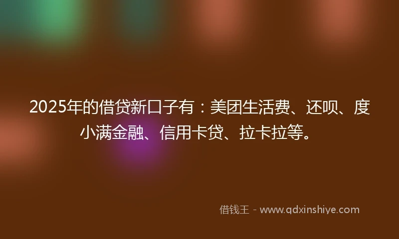 2025年的借贷新口子有：美团生活费、还呗、度小满金融、信用卡贷、拉卡拉等。