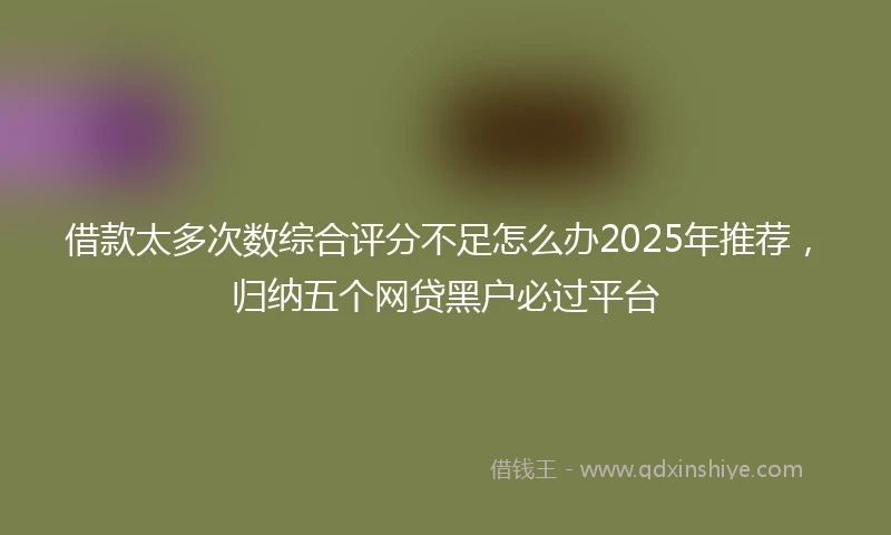 借款太多次数综合评分不足怎么办2025年推荐，归纳五个网贷黑户必过平台