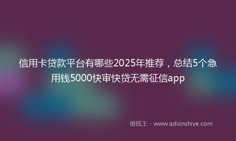 信用卡贷款平台有哪些2025年推荐，总结5个急用钱5000快审快贷无需征信app