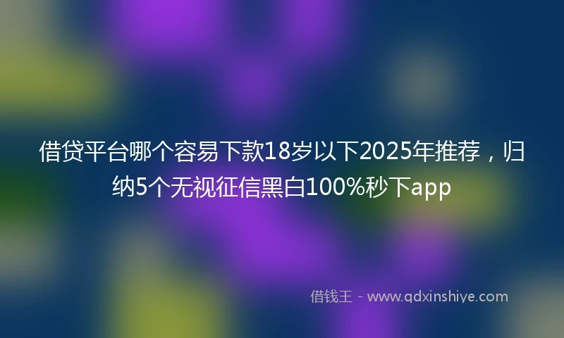 借贷平台哪个容易下款18岁以下2025年推荐，归纳5个无视征信黑白100%秒下app