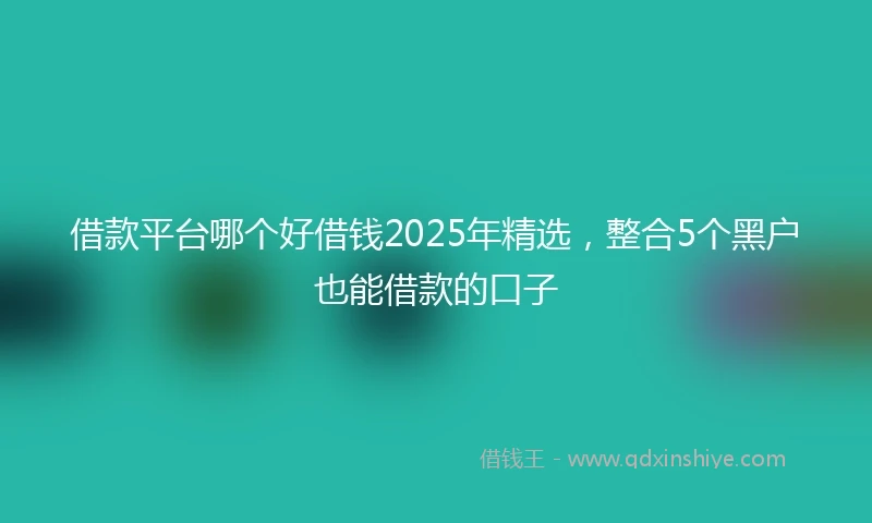 借款平台哪个好借钱2025年精选，整合5个黑户也能借款的口子